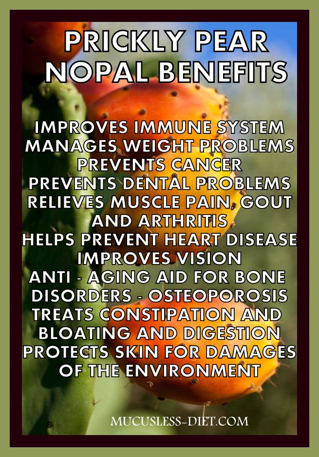 PRICKLY PEAR BENEFITS Picture