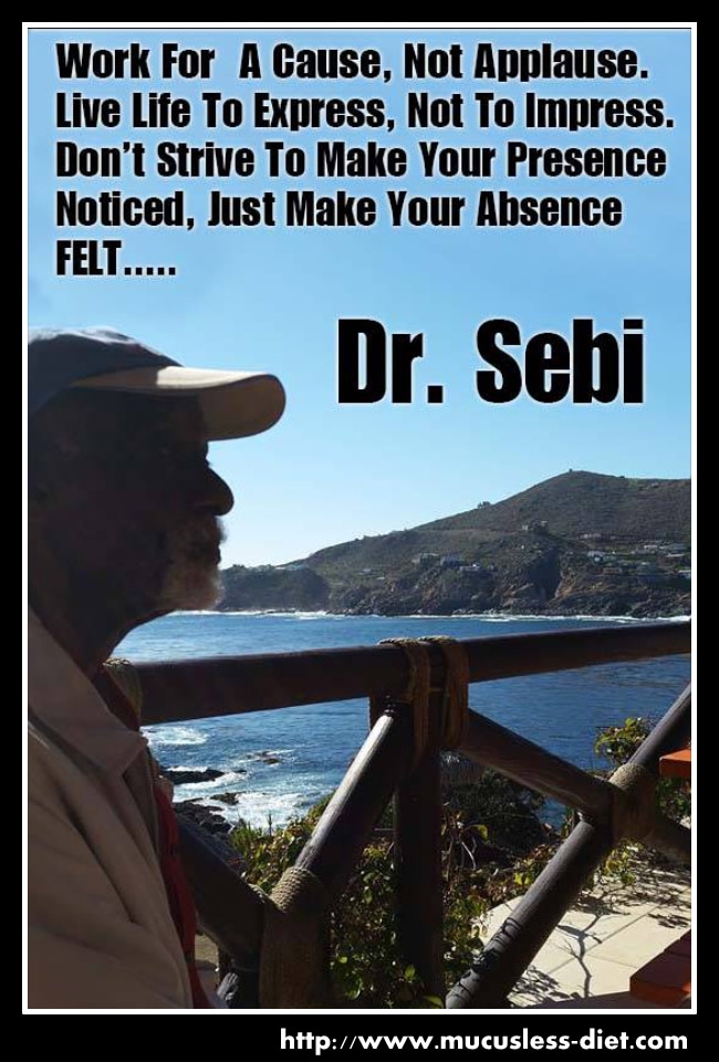 Dr. Sebi Bio Picture